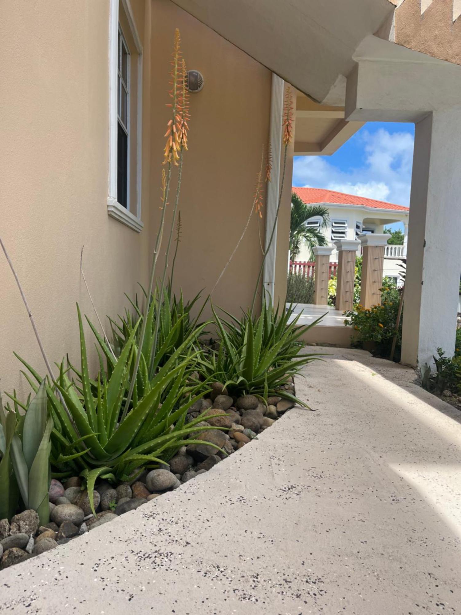 Apartament Belle Breeze Haven Gros Islet Zewnętrze zdjęcie